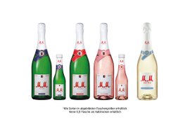 Sechs Flaschen mit verschiedenen Sorten von MM Extra Schaumwein stehen nebeneinander, jede mit einem einzigartigen Etikett und Farbton.