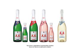 Sechs Flaschen mit verschiedenen Sorten von MM Extra Schaumwein stehen nebeneinander, jede mit einem einzigartigen Etikett und Farbton.